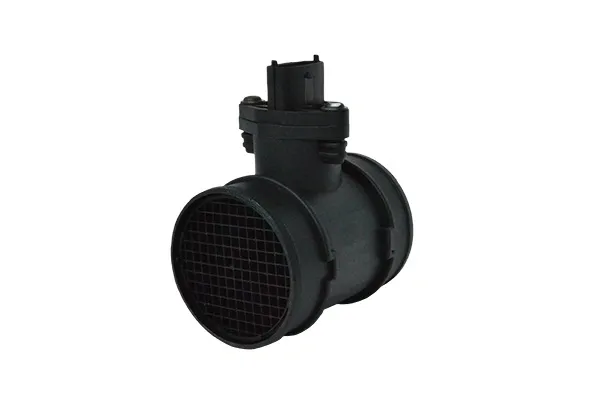 Caudalímetro 74134 Asam