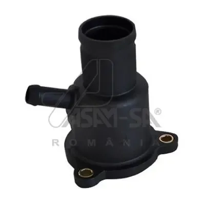 Tapa de termostato ASAM 30538