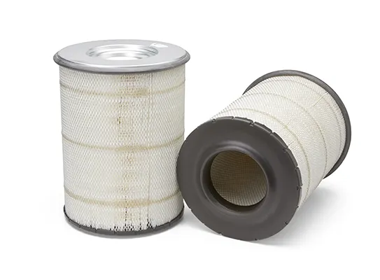 Filtro de aire AF25631 Fleetguard