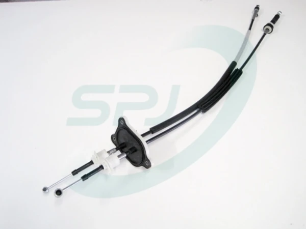 082099 SPJ