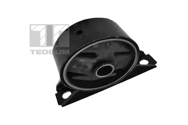 Soporte de motor delantero 00441716 Ted-gum