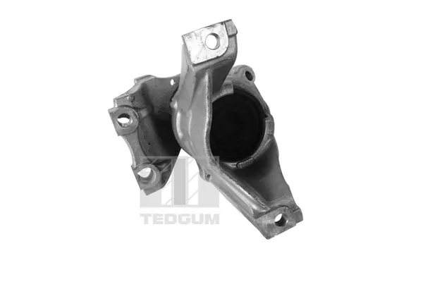 Soporte inferior derecho del motor 00269182 Ted-gum