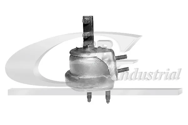 Soporte de motor derecho 40302 3RG