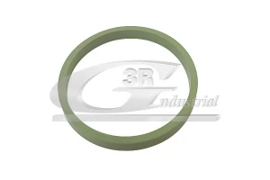 Junta de colector de admisión 36704 3RG