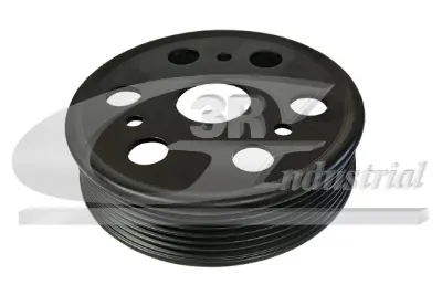 Polea de la bomba de dirección asistida 3RG 10646