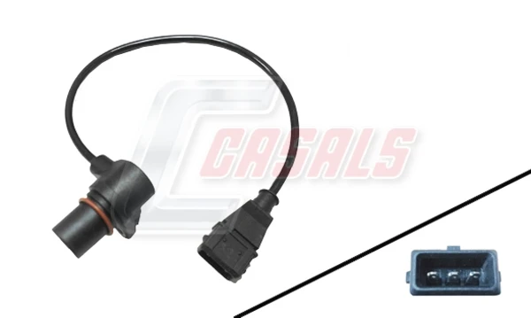 65329 Casals