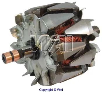 Rotor del alternador 330113 Cargo