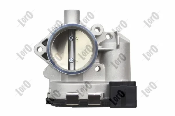 Cuerpo de mariposa completo Citroen Xsara (N1)