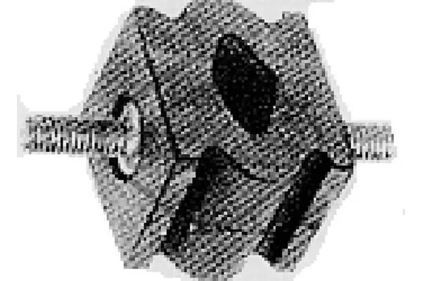  00205 Metalcaucho