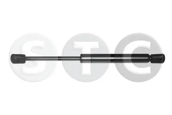 Amortiguador maletero T446216 STC