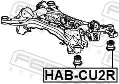 HABCU2R Febest