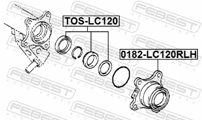 Anillo de retención del rodamiento del semieje trasero FEBEST TOSLC120