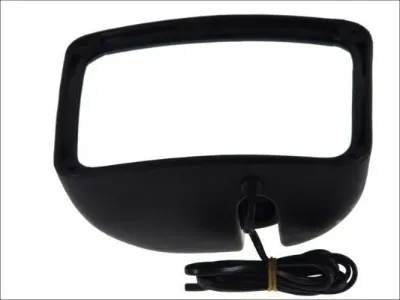 Retrovisor PACOL DAFMR003