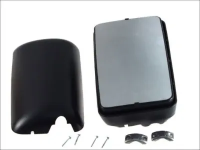 Retrovisor PACOL DAFMR004