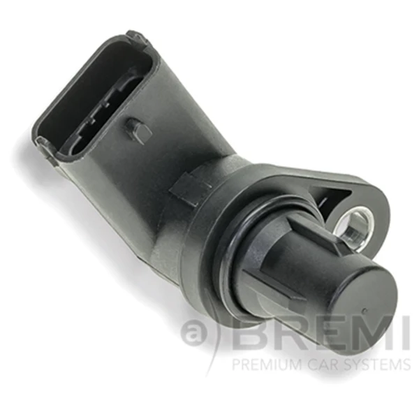 60018 Bremi