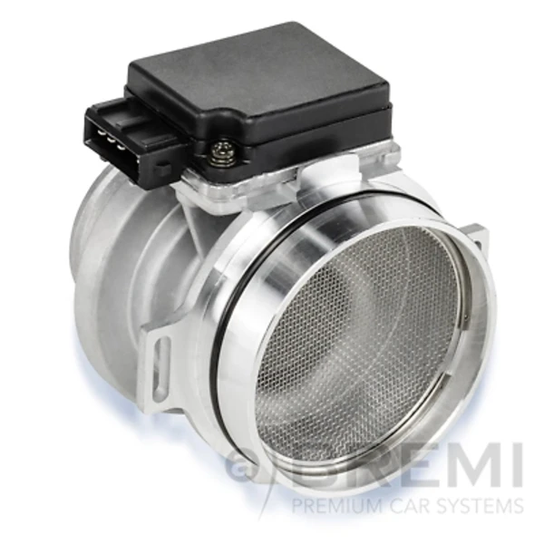 30063 Bremi
