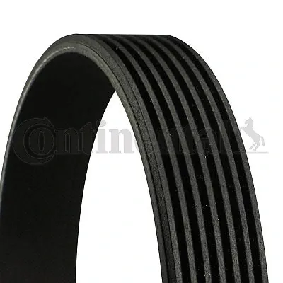 Correa de accesorios CONTINENTAL 7PK2061