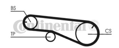 Correa del eje de equilibrado CONTINENTAL CT1109
