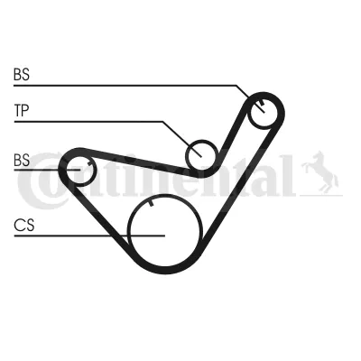 Correa del eje de equilibrado CONTINENTAL CT714