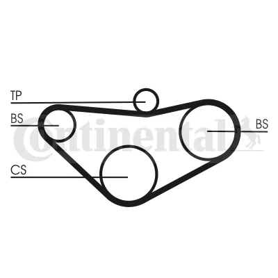Correa del eje de equilibrado CT800 Continental/Siemens