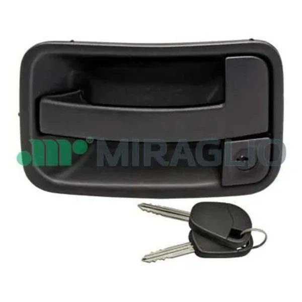 Tirador de puerta exterior delantero derecha Peugeot Expert (224)