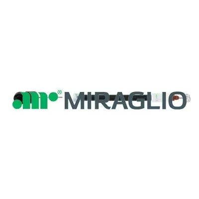 80720 Miraglio