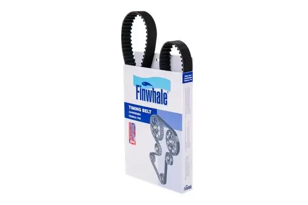 Correa distribución BD136 Finwhale