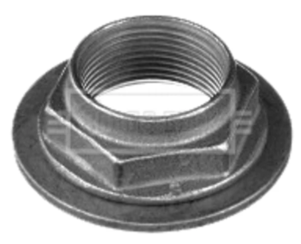 Tuerca, cubo de rueda trasero Peugeot 207 SW (WK)