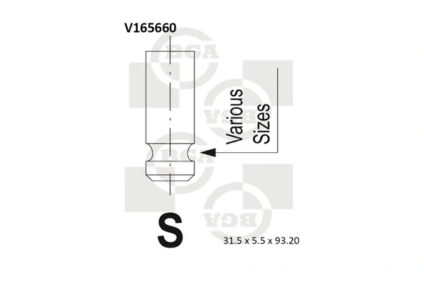V165660 BGA