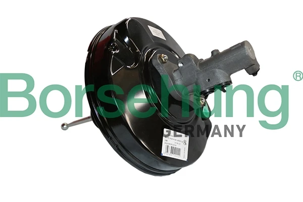 B11385 Borsehung