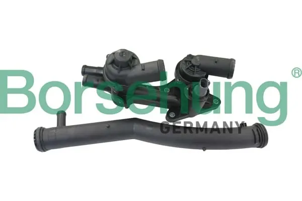 Caja de termostato B19086 Borsehung