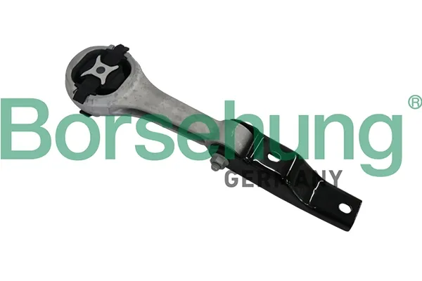 Soporte de motor trasero B19163 Borsehung
