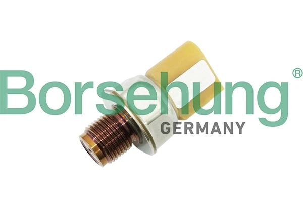 B11871 Borsehung