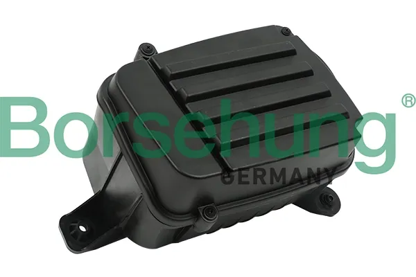 Caja del filtro de aire B12829 Borsehung