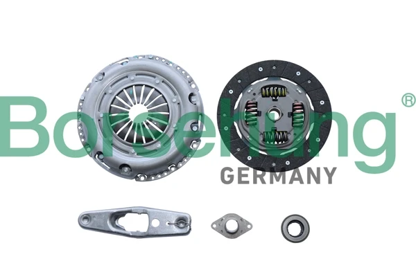 B10917 Borsehung