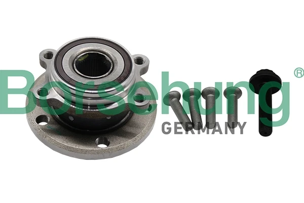 B19233 Borsehung cubo de rueda delantero