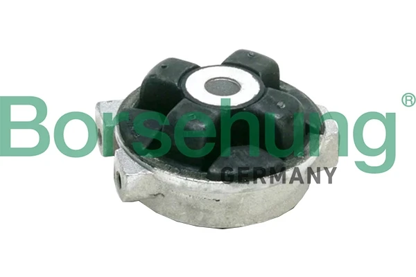 B19103 Borsehung