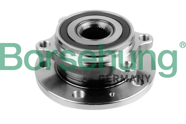 B15625 Borsehung cubo de rueda delantero