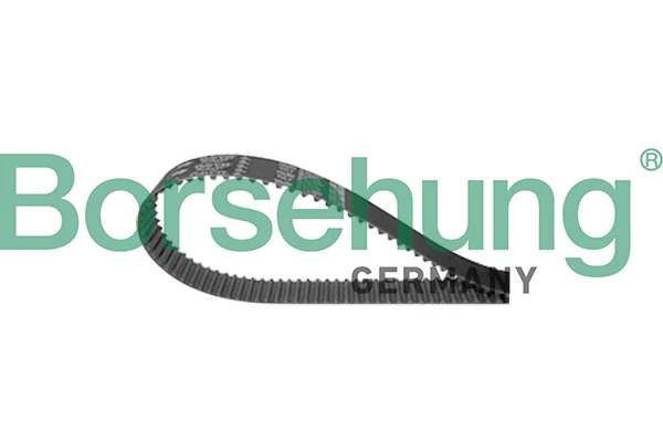 B10230 Borsehung