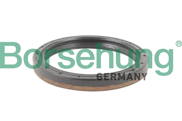 B12198 Borsehung