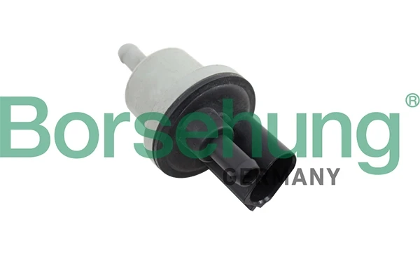 B12188 Borsehung