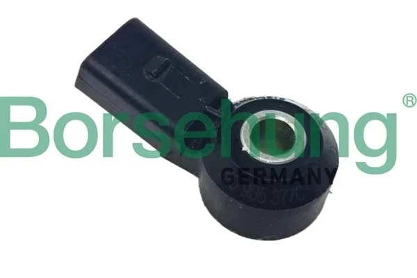 B12425 Borsehung