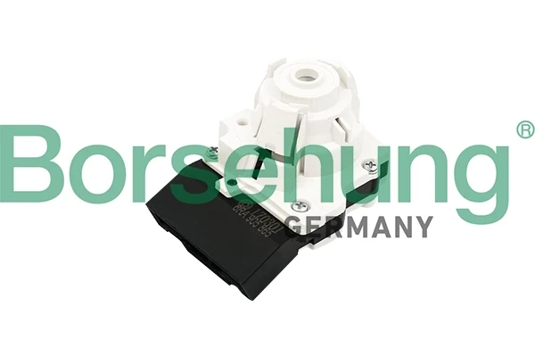 B17988 Borsehung