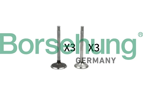 B18765 Borsehung