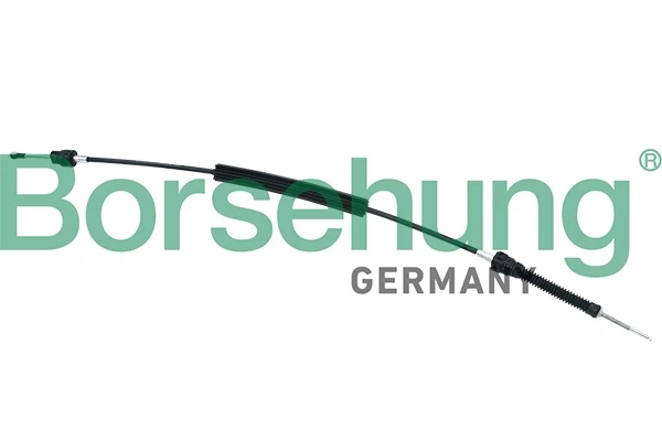 B11517 Borsehung
