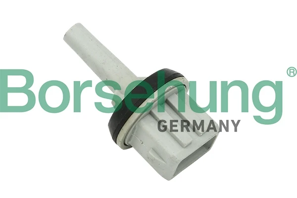 B11449 Borsehung