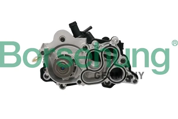 B12692 Borsehung bomba de agua