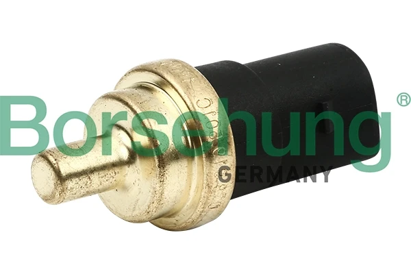 B13133 Borsehung