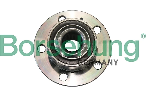B19285 Borsehung