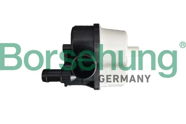 Valvula de purga del canister B12300 Borsehung